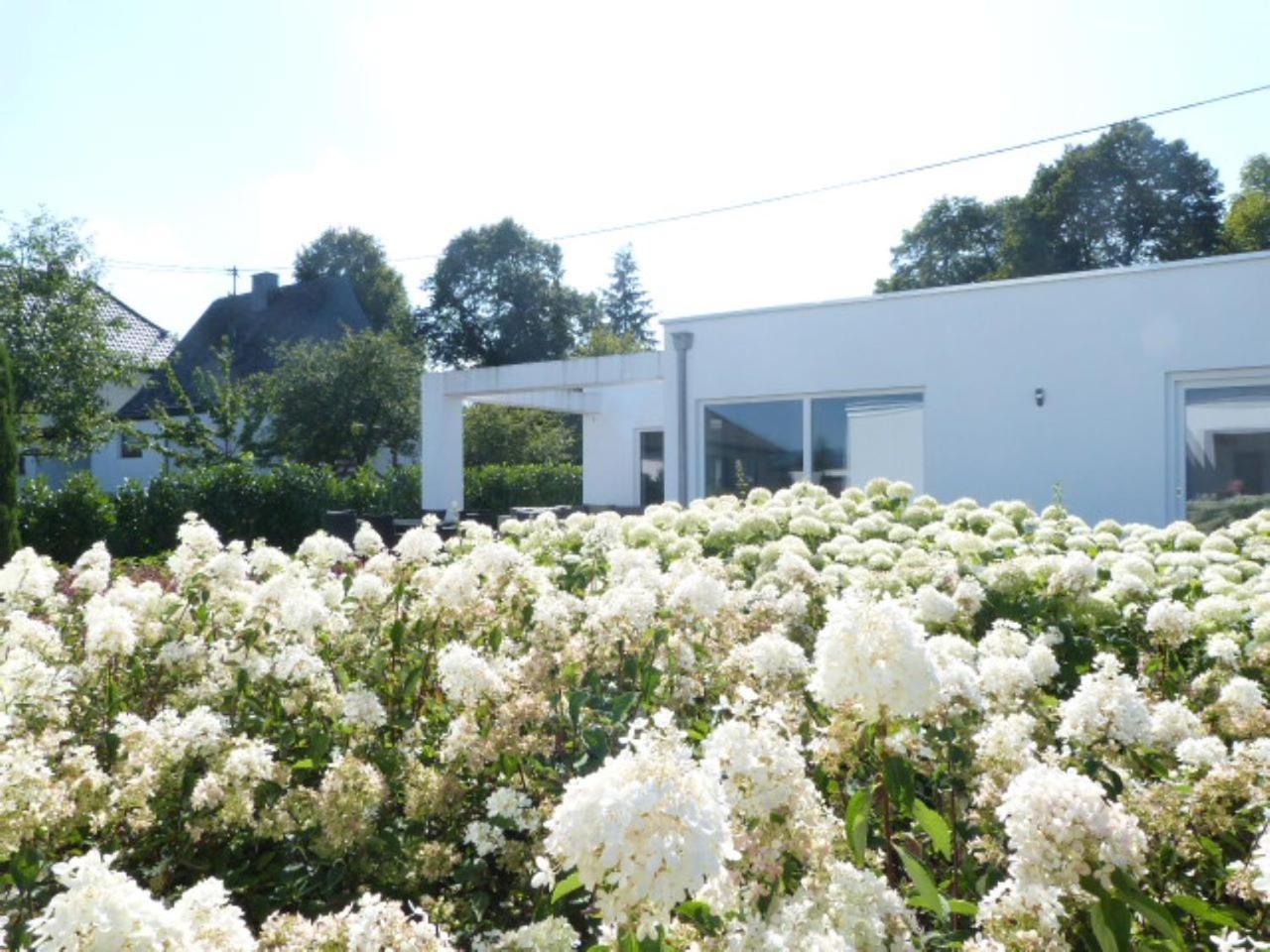 Villa Mosel Morbach Eksteriør bilde